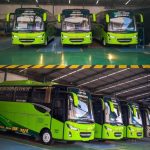 sewa bus mini