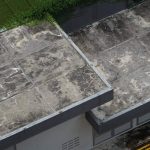 Pelapis Anti Bocor untuk Dak Beton