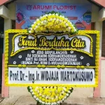 Arumi Florist