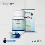 Suplemen herbal stamina pria