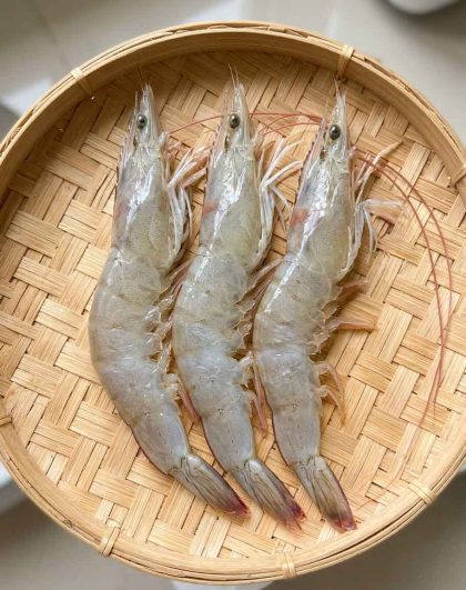 Udang Vaname